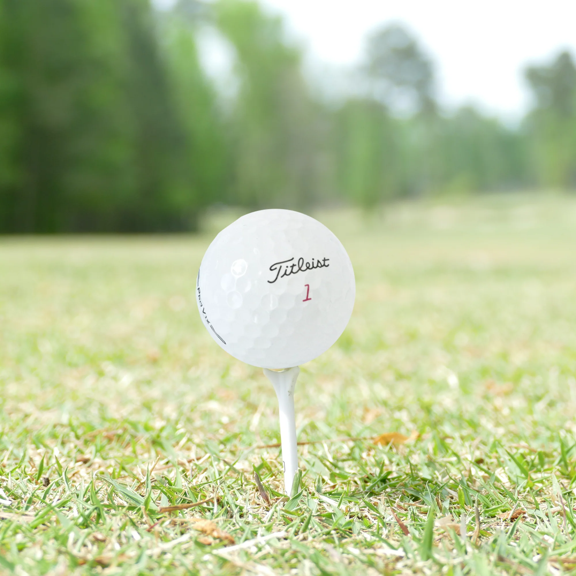 Used Titleist 2023 Pro V1x Golf Balls - 1 Dozen - Image 3
